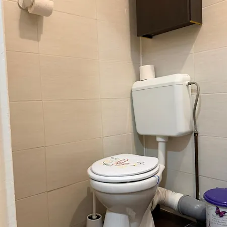 Apartament Park Camil *