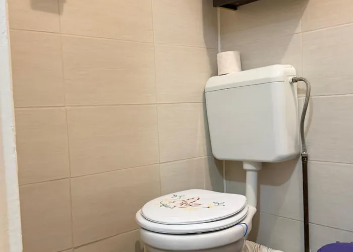 Apartament Park Camil *