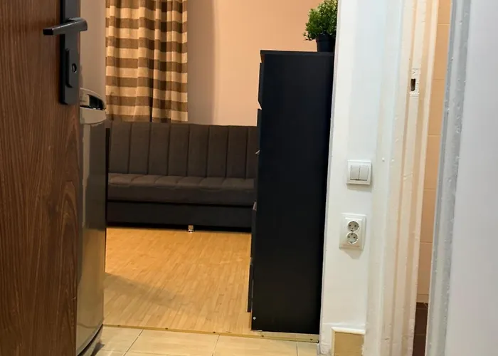 Apartament Park Camil *