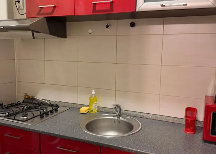 Apartament Park Camil *